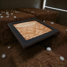 Load image into Gallery viewer, Framed Art - CUSTOM - Welcome to the Funny Farm