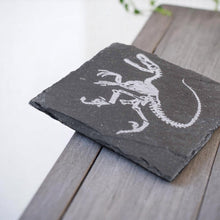 Load image into Gallery viewer, Coaster - Slate - Dinosaur Fossil - SET OF 2