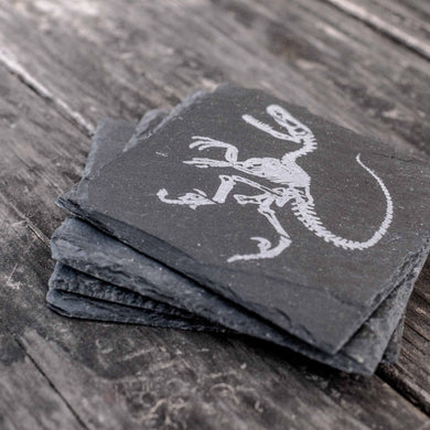 Coaster - Slate - Dinosaur Fossil - SET OF 2