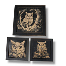 Load image into Gallery viewer, Framed Art - CUSTOM - Owls SET of 3 Pictures
