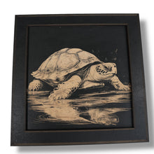 Load image into Gallery viewer, Framed Art - CUSTOM - Reptiles SET of 3 Pictures