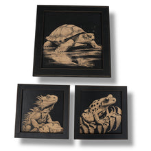 Load image into Gallery viewer, Framed Art - CUSTOM - Reptiles SET of 3 Pictures