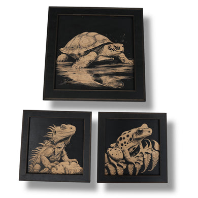 Framed Art - CUSTOM - Reptiles SET of 3 Pictures