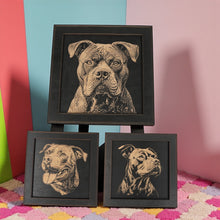 Load image into Gallery viewer, Framed Art - CUSTOM - Pit Bull SET of 3 Pictures