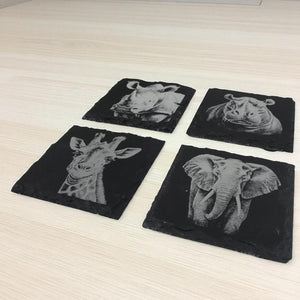 Coaster - Slate - Safari - SET of 4