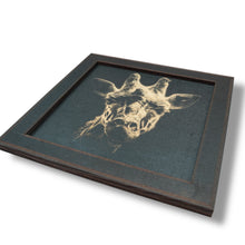 Load image into Gallery viewer, Framed Art - CUSTOM - Giraffe SET of 3 Pictures