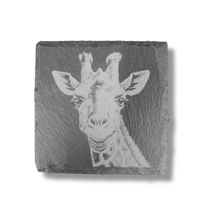 Coaster - Slate - Safari - SET of 4