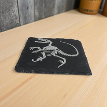 Load image into Gallery viewer, Coaster - Slate - Dinosaur Fossil - SET OF 2