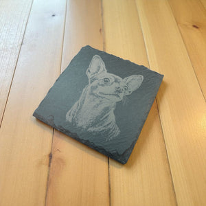 Coaster - Slate - Chihuahua - SET OF 2 - Dog