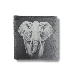 Coaster - Slate - Safari - SET of 4