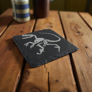 Coaster - Slate - Dinosaur Fossil - SET OF 2