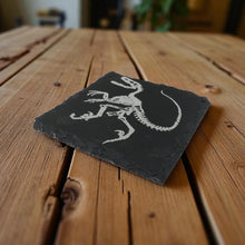 Load image into Gallery viewer, Coaster - Slate - Dinosaur Fossil - SET OF 2