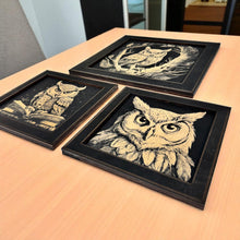 Load image into Gallery viewer, Framed Art - CUSTOM - Owls SET of 3 Pictures