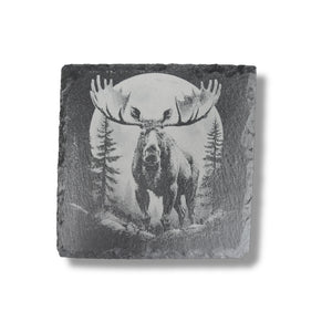 Coaster - Slate - Woods at Night - SET of 4
