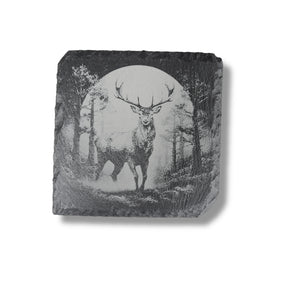 Coaster - Slate - Woods at Night - SET of 4