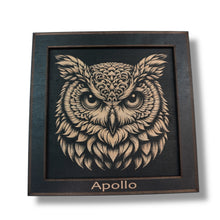 Load image into Gallery viewer, Framed Art - PERSONALIZED - CUSTOM - Owl