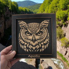 Load image into Gallery viewer, Framed Art - PERSONALIZED - CUSTOM - Owl