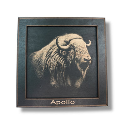 Framed Art - PERSONALIZED - CUSTOM - Musk Ox