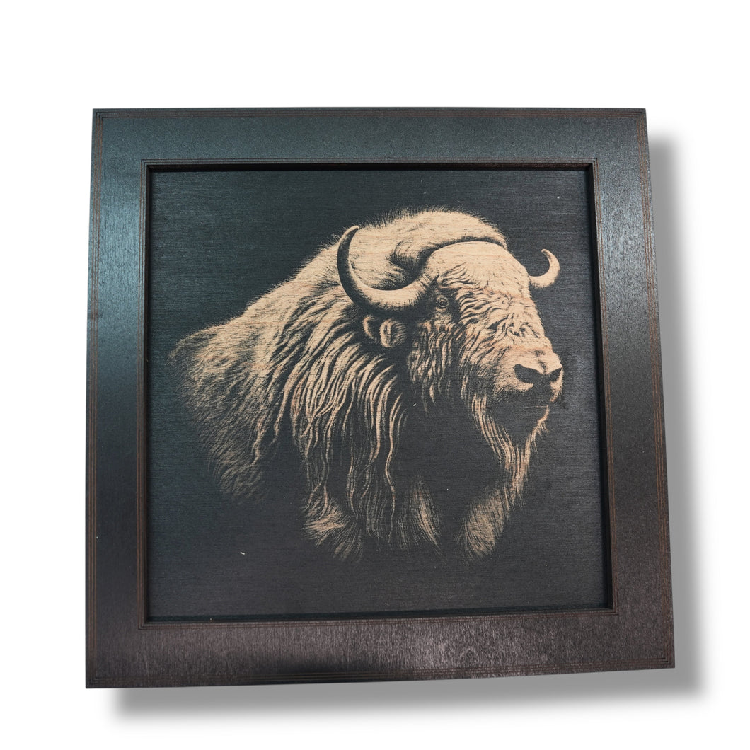 Framed Art - CUSTOM - Musk Ox