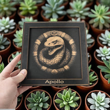 Load image into Gallery viewer, Framed Art - PERSONALIZED - CUSTOM - Coiled Snake