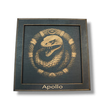 Load image into Gallery viewer, Framed Art - PERSONALIZED - CUSTOM - Coiled Snake