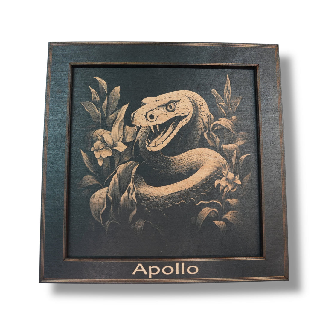 Framed Art - PERSONALIZED - CUSTOM - Snake