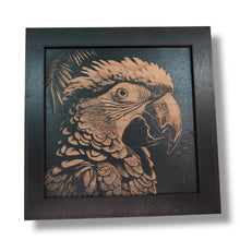 Load image into Gallery viewer, Framed Art - CUSTOM - Tropical Bird
