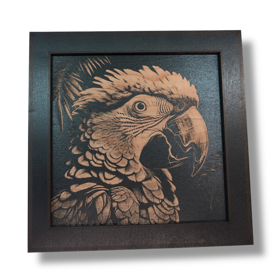 Framed Art - CUSTOM - Tropical Bird