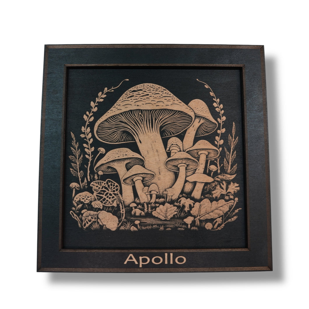 Framed Art - PERSONALIZED - CUSTOM - Mushrooms