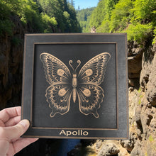 Load image into Gallery viewer, Framed Art - PERSONALIZED - CUSTOM - Butterfly