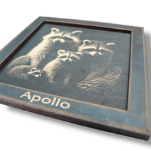 Load image into Gallery viewer, Framed Art - PERSONALIZED - CUSTOM - Raccoon Family