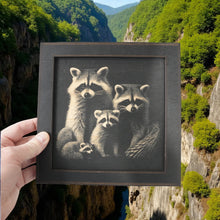 Load image into Gallery viewer, Framed Art - CUSTOM - Raccoon Family