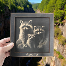 Load image into Gallery viewer, Framed Art - PERSONALIZED - CUSTOM - Raccoon Family