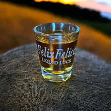 Load image into Gallery viewer, 2oz Felix Felicis Liquid Luck Engraved Shot Glass