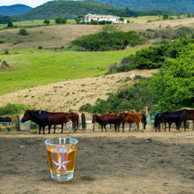 Load image into Gallery viewer, 2oz Texas Star Shot Glass