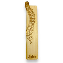 Load image into Gallery viewer, Bookmark - Spine Anatomy - Birch wood