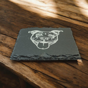 Coaster - Slate - PIt Bull - SET OF 2