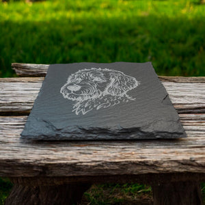 Coaster - Slate - Golden Doodle - SET OF 2