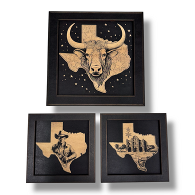 Framed Art - CUSTOM - Texas SET of 3 Pictures