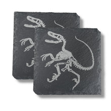 Load image into Gallery viewer, Coaster - Slate - Dinosaur Fossil - SET OF 2