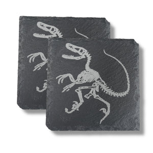 Coaster - Slate - Dinosaur Fossil - SET OF 2