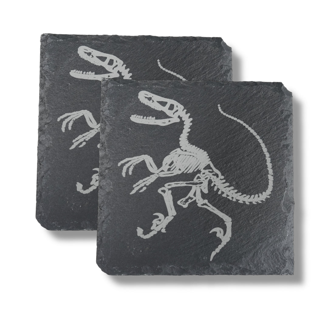 Coaster - Slate - Dinosaur Fossil - SET OF 2