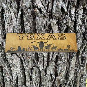 Texas Plaque with Landscape BLACK Sign 3x11