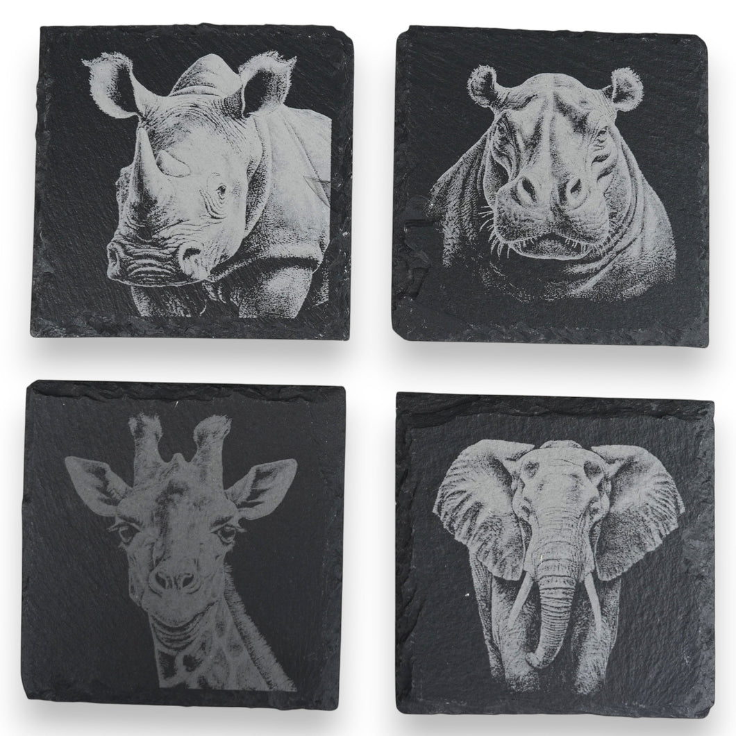 Coaster - Slate - Safari - SET of 4