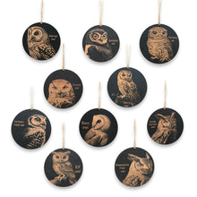 Load image into Gallery viewer, Ornament - Black - Owls - Set of 10