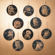 Load image into Gallery viewer, Ornament - Black - Owls - Set of 10