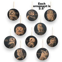 Load image into Gallery viewer, Ornament - Black - Owls - Set of 10