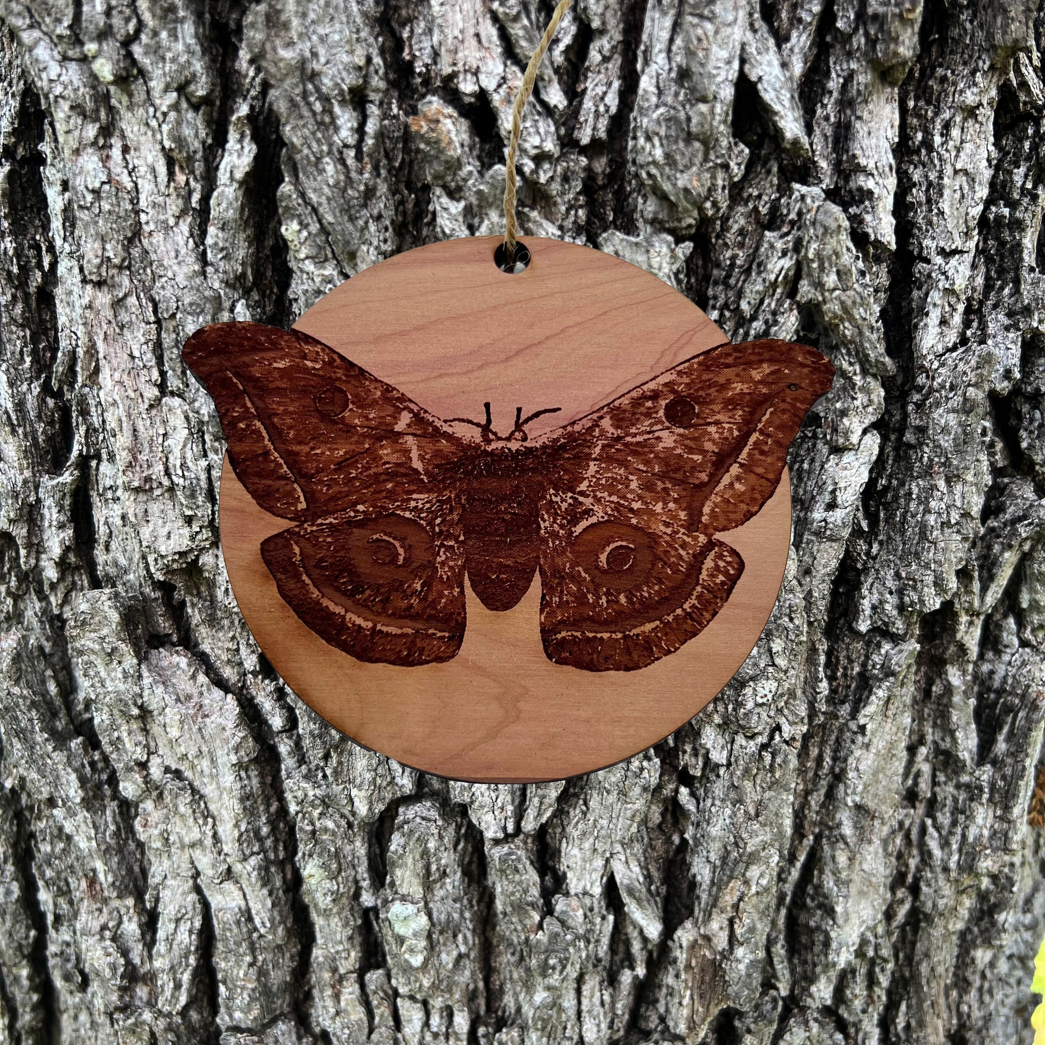 https://mythicplasmaart.com/cdn/shop/products/AmericanSilkwormMoth-CedarOrnament3_1024x1024@2x.jpg?v=1659464650