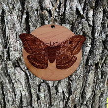 Load image into Gallery viewer, American Silkworm Moth - Cedar Ornament