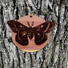 Load image into Gallery viewer, Cecropia Moth - Cedar Ornament